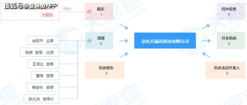 注冊資本9.5億元，京東方成立晶芯科技公司，深化布局物聯網技術服務