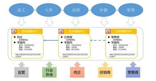 網(wǎng)絡(luò)傳輸設(shè)備 物聯(lián)網(wǎng)時(shí)代的數(shù)字脈絡(luò)